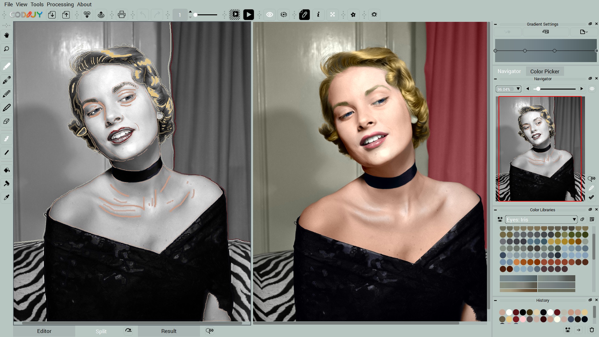 codijy pro photo colorization